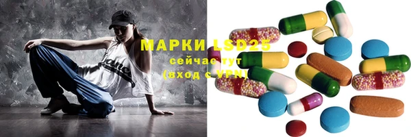 стаф Новозыбков