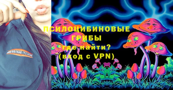 стаф Новозыбков