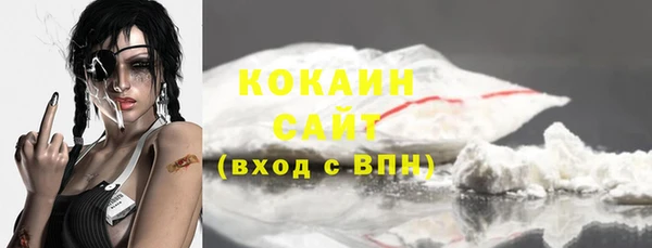 прущие грибы Новокубанск