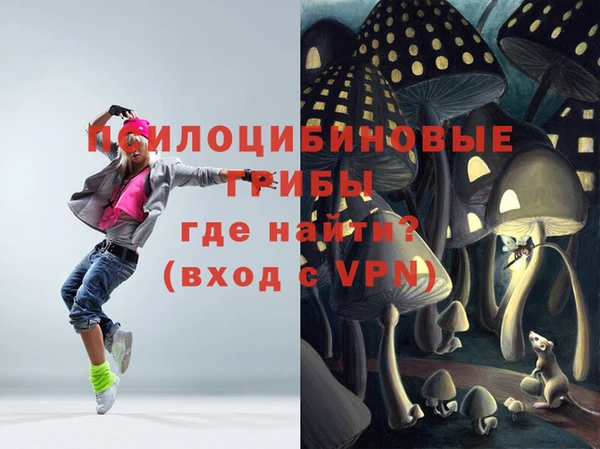 крисы Аркадак