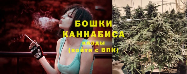 стаф Новозыбков