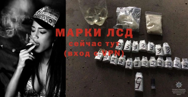 крисы Аркадак