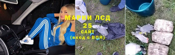 крисы Аркадак
