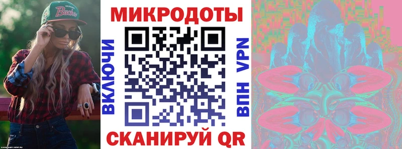 Галлюциногенные грибы Psilocybine cubensis  Шарья 